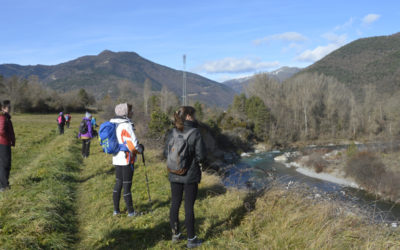 VALLE DEL ARA