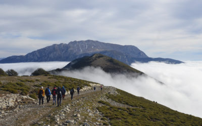 Pico Cornichuelo